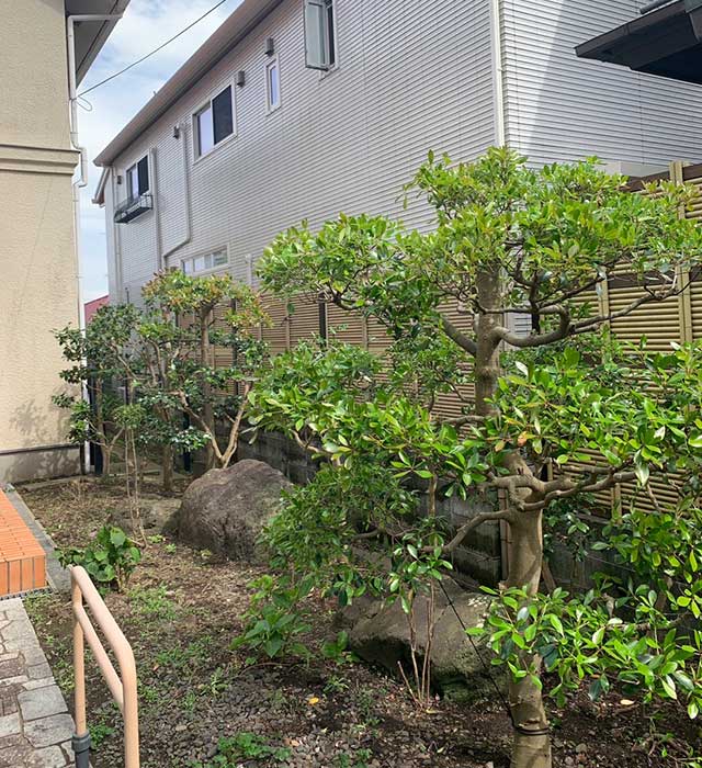 お庭の剪定とお手入れ