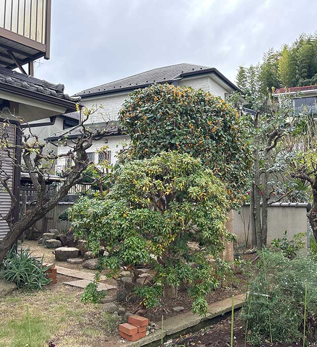 庭の手入れ・剪定