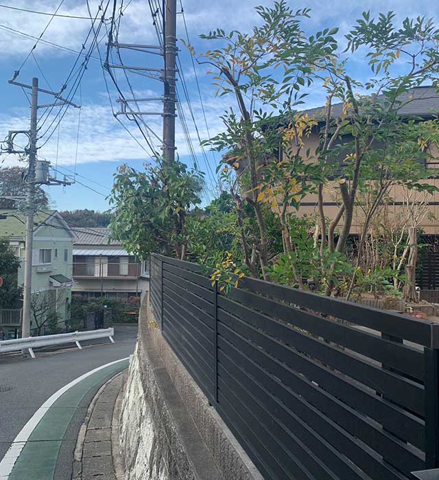 剪定とお手入れ